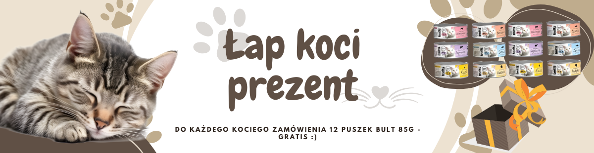 Koci prezent