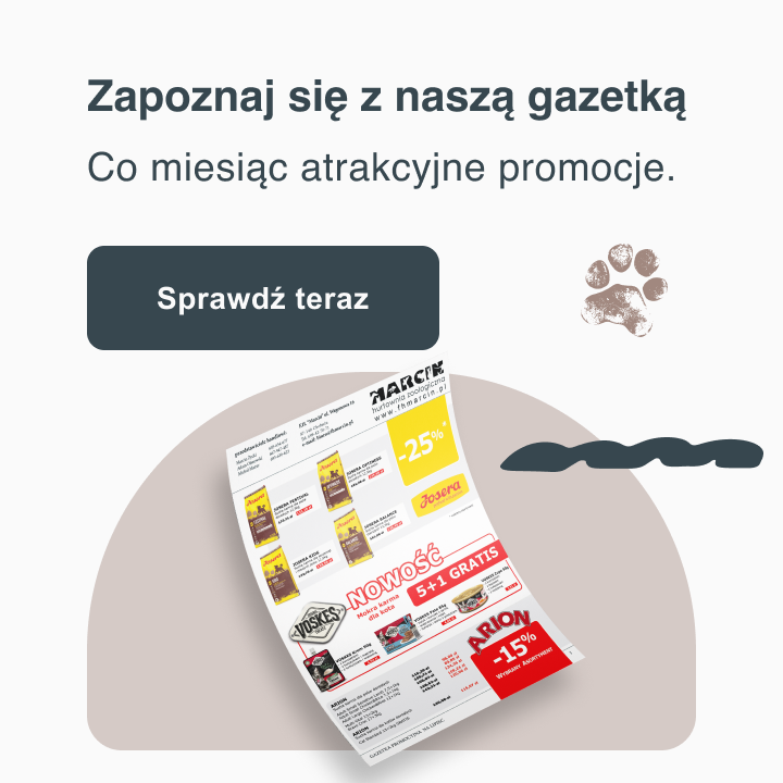 Gazetka
