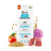 BRIT CARE Hypoallergenic Puppy Lamb 12kg