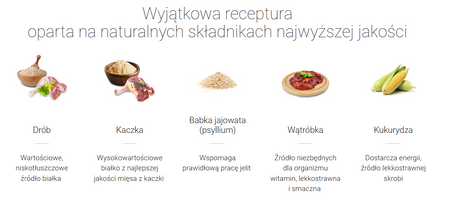 Josera Catelux odkłaczająca karma dla kotów 2kg