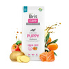 Brit Care Puppy Grain Free Salmon   12kg